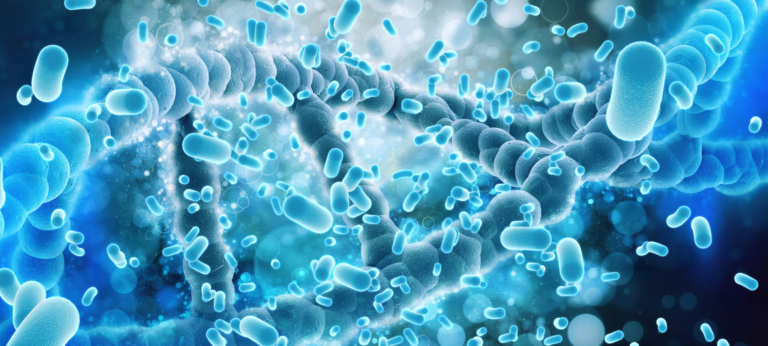 Estate! Tempo di: ferie, caldo e… legionellosi